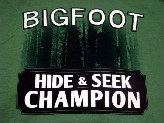 bigfoot hide and seek
